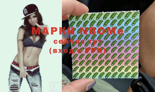 индика Липки