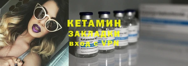 прущие грибы Армянск