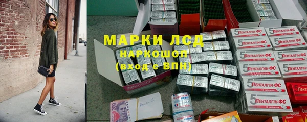 прущие грибы Армянск