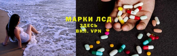 прущие грибы Армянск